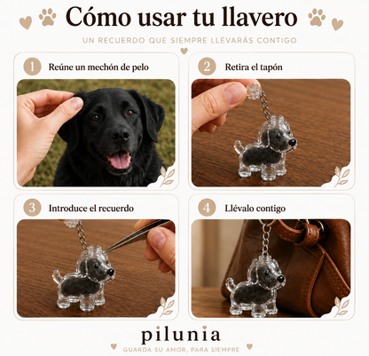 Recuerdo de Mascota