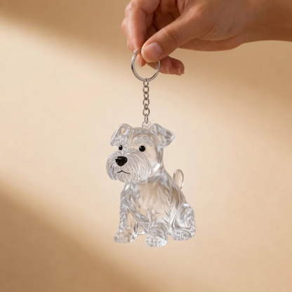 Recuerdo de Mascota