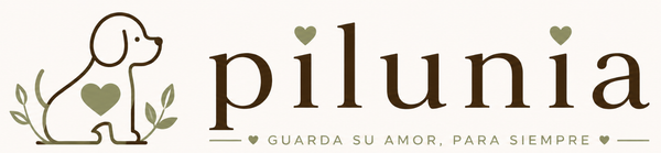 Pilunia